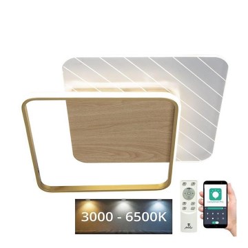 Plafonieră LED dimabilă LED/60W/230V 3000-6500K + telecomandă