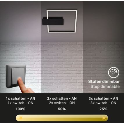 Plafonieră LED dimabilă NICO DUO LED/12W/230V Briloner 3544-015