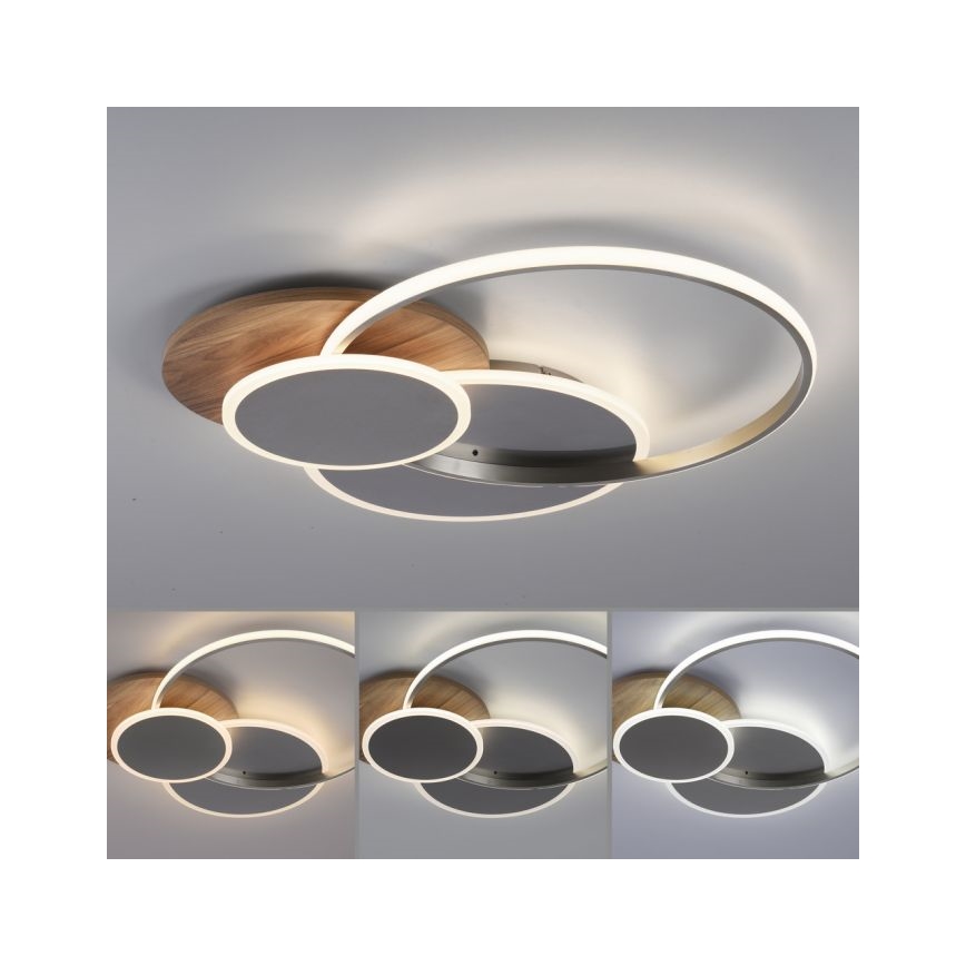 Plafonieră LED dimabilă PALMA LED/50W/230V 2700-5000K Paul Neuhaus 8328-79 + telecomandă