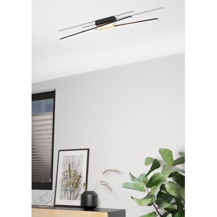 Plafonieră LED dimabilă 2xLED/13W/230V Eglo