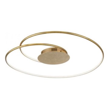Plafonieră LED dimabilă Paul Neuhaus 6189-12 NASTRO LED/26W/230V
