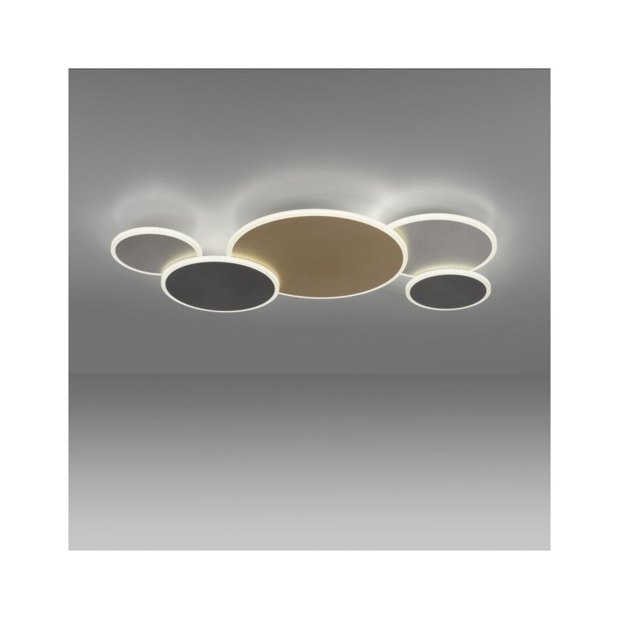 Plafonieră LED dimabilă Paul Neuhaus 8008-70 Q-PIATO LED/49W/230V 2700-5000K Wi-Fi + telecomandă