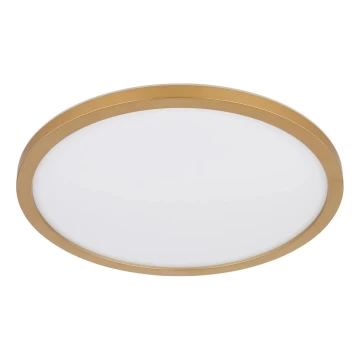 Plafonieră LED dimabilă pentru baie Globo LED/24W/230V 3000K IP44 d. 42 cm alamă