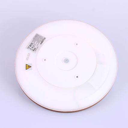 Plafonieră LED dimabilă pentru baie LED/18W/230V IP44 maro Globo