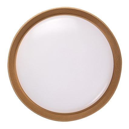 Plafonieră LED dimabilă Rabalux LED/48W/230V 3000-6500K + telecomandă