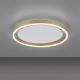 Plafonieră LED dimabilă RITUS LED/20W/230V alamă Leuchten Direkt 15391-60