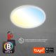 Plafonieră LED dimabilă SLIM LED/22W/230V 2700-6500K Wi-Fi Tuya Brilo + telecomandă