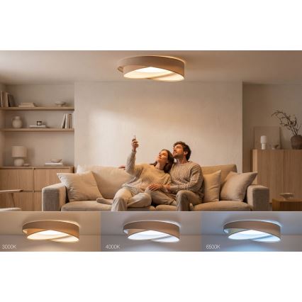 Plafonieră LED dimabilă SMART GALAXY MODERN, 24W, 230V, 3000-6500K, Ø 55 cm, bej/alb + telecomandă