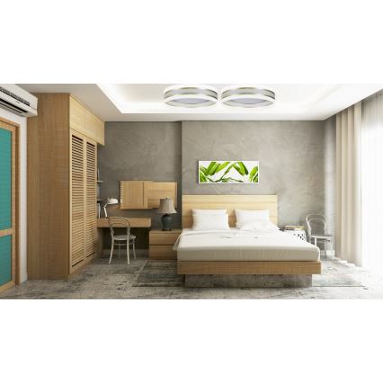 Plafonieră LED dimabilă SMART CORAL GOLD LED/24W/230V albă/aurie + telecomandă