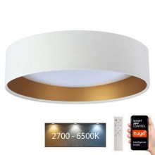 Plafonieră LED dimabilă SMART GALAXY LED/36W/230V d. 55 cm 2700-6500K Wi-Fi Tuya albă/aurie + telecomandă