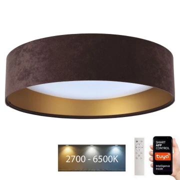 Plafonieră LED dimabilă SMART GALAXY LED/36W/230V d. 55 cm 2700-6500K Wi-Fi Tuya maro/auriu + telecomandă