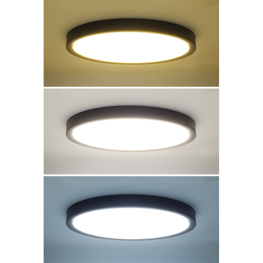 Plafonieră LED dimabilă ESTELA LED/36W/230V d. 30 cm negru + telecomandă