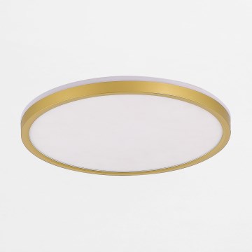 Plafonieră LED dimabilă Zuma Line LED/38W/230V + LED/11W 3000/4000/5500K d. 50 cm auriu