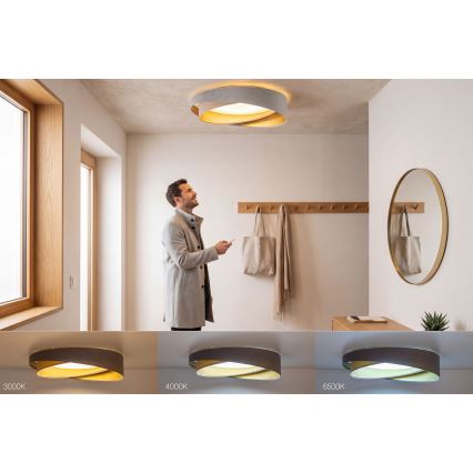 Plafonieră LED dimabilă SMART GALAXY MODERN, LED/24W/230V, 3000-6500K, Ø 55 cm, gri/bej/auriu + telecomandă
