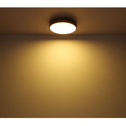 Plafonieră LED/12W/230V d. 30 cm Globo
