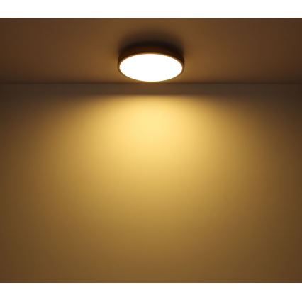 Plafonieră LED/12W/230V d. 30 cm Globo