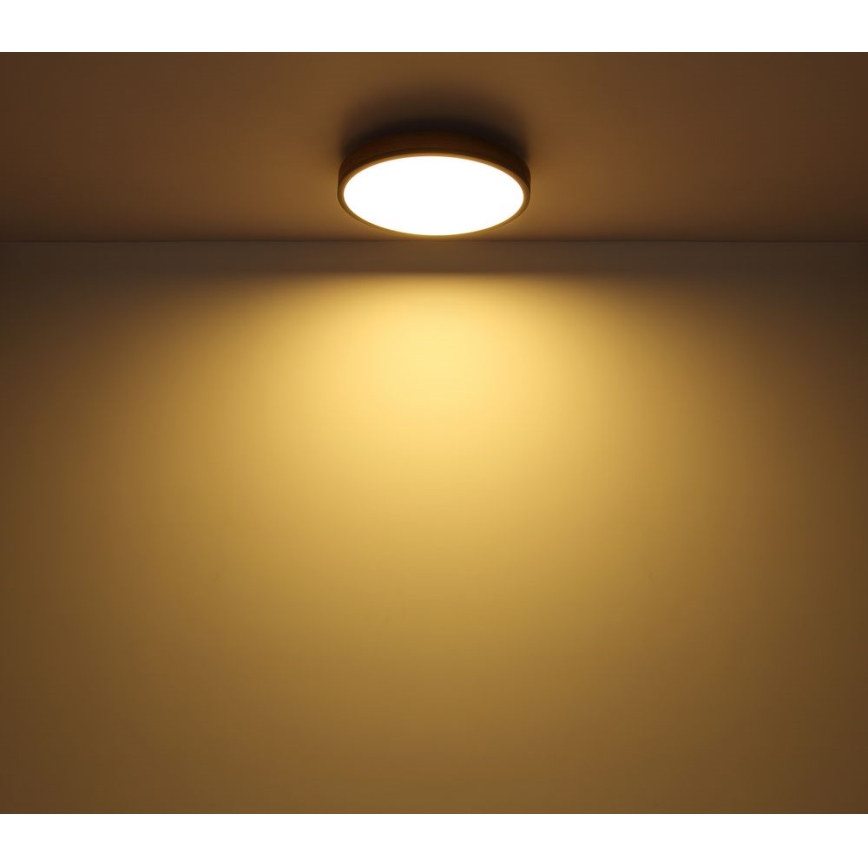 Plafonieră LED/12W/230V d. 30 cm Globo