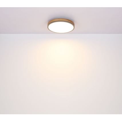 Plafonieră LED/12W/230V d. 30 cm Globo