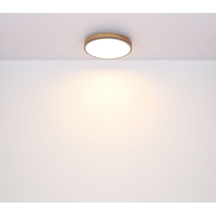 Plafonieră LED/12W/230V d. 30 cm Globo
