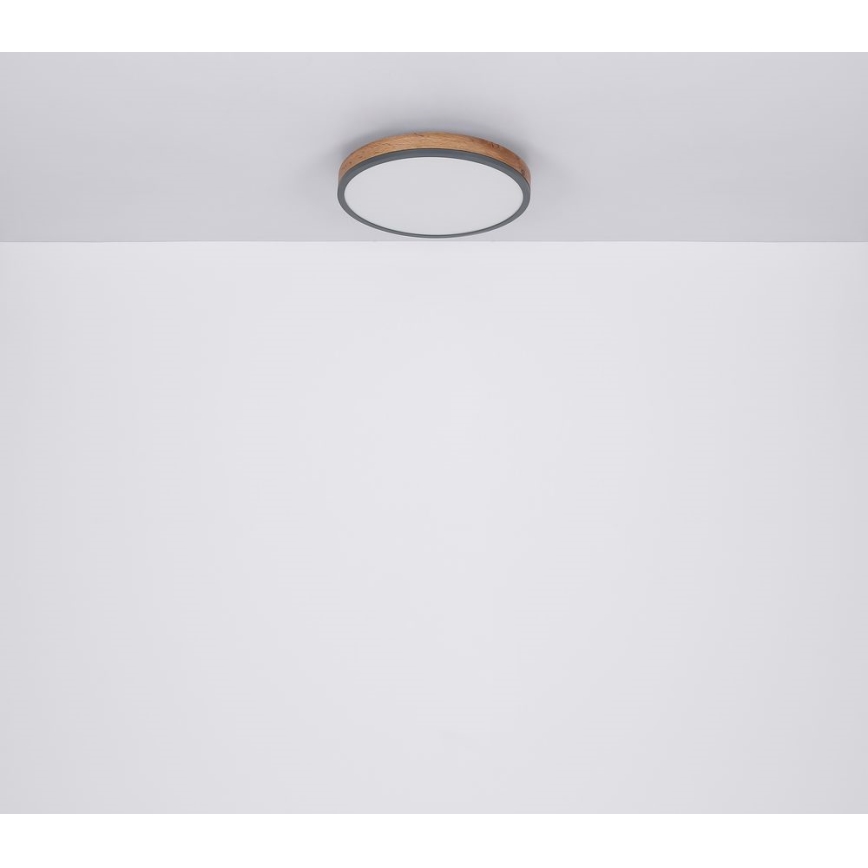 Plafonieră LED/12W/230V d. 30 cm Globo