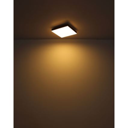 Plafonieră LED/18W/230V 30x30 cm negru Globo