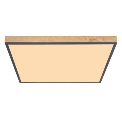 Plafonieră LED/36W/230V Globo