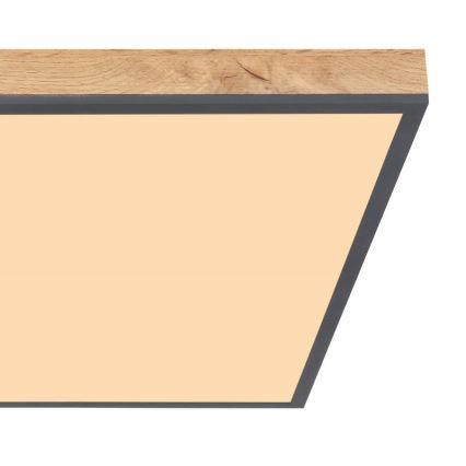 Plafonieră LED/36W/230V Globo