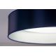 Plafonieră LED Duolla ROLLER LED/24W/230V albastru/argintiu