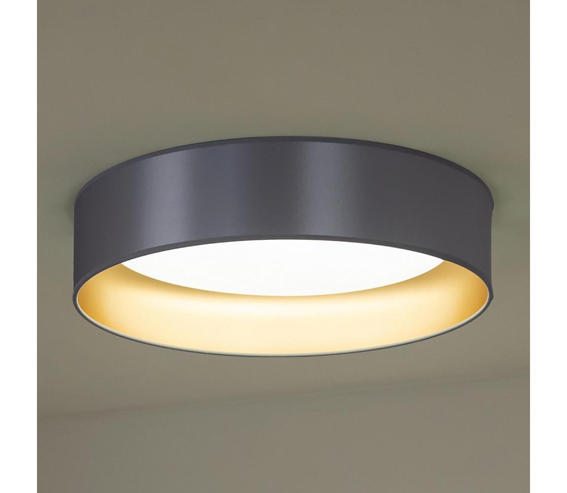 Plafonieră LED  ROLLER LED/24W/230V argintiu/auriu