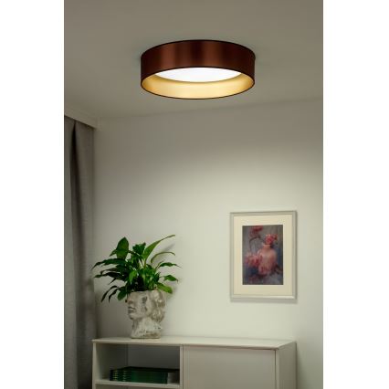 Plafonieră LED Duolla ROLLER LED/24W/230V d. 45 cm cupru/auriu