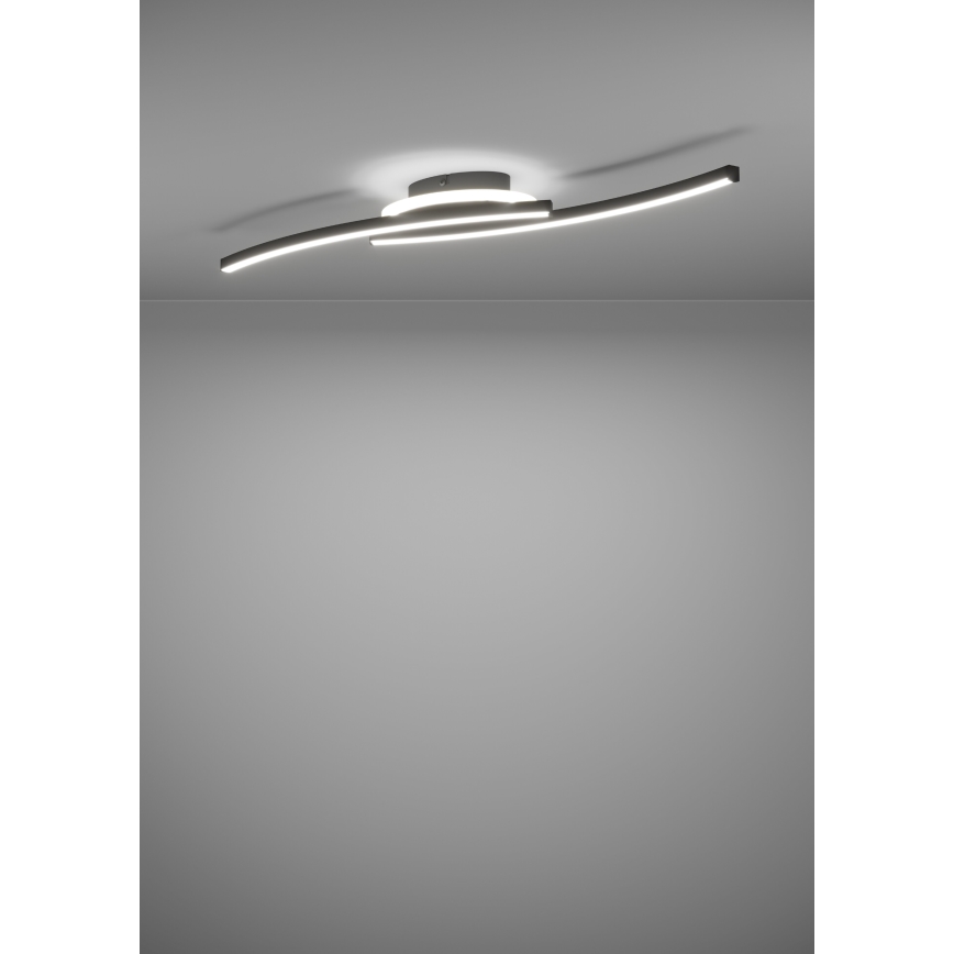 Plafonieră LED Eglo LED/12W/230V 4000K negru