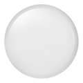 Plafonieră LED exterior DORI LED/24W/230V IP54 rotund