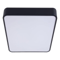 Plafonieră LED FELIZ LED/50W/230V 4000K 40x60 cm negru