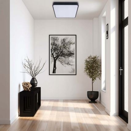 Plafonieră LED FELIZ LED/50W/230V 4000K 40x60 cm negru