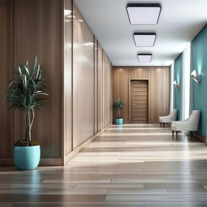 Plafonieră LED FELIZ LED/50W/230V 4000K 40x60 cm negru