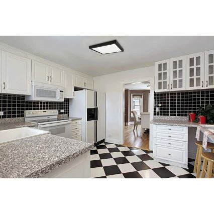 Plafonieră LED FENIX LED/12W/230V 2800K 17 cm