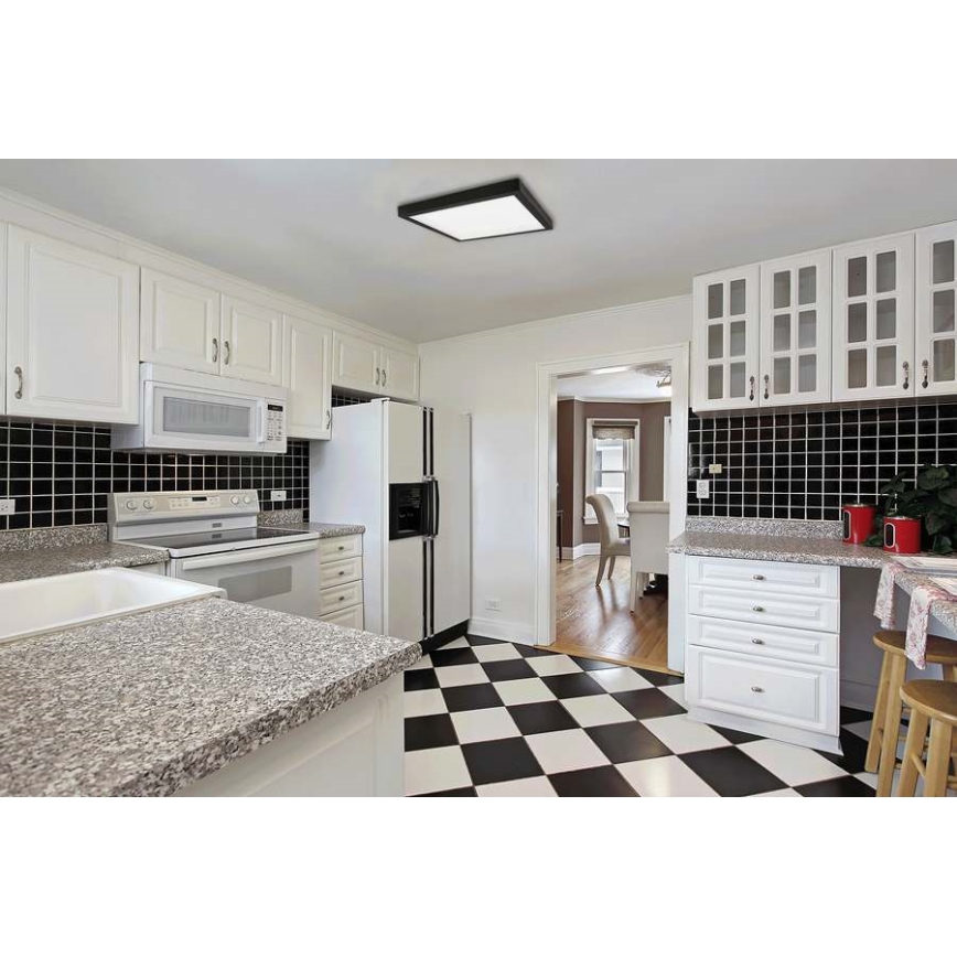 Plafonieră LED FENIX LED/12W/230V 2800K 17 cm