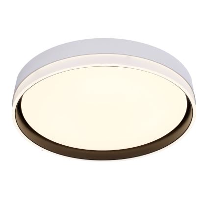 Plafonieră LED FLORIDA LED/24W/230V alb