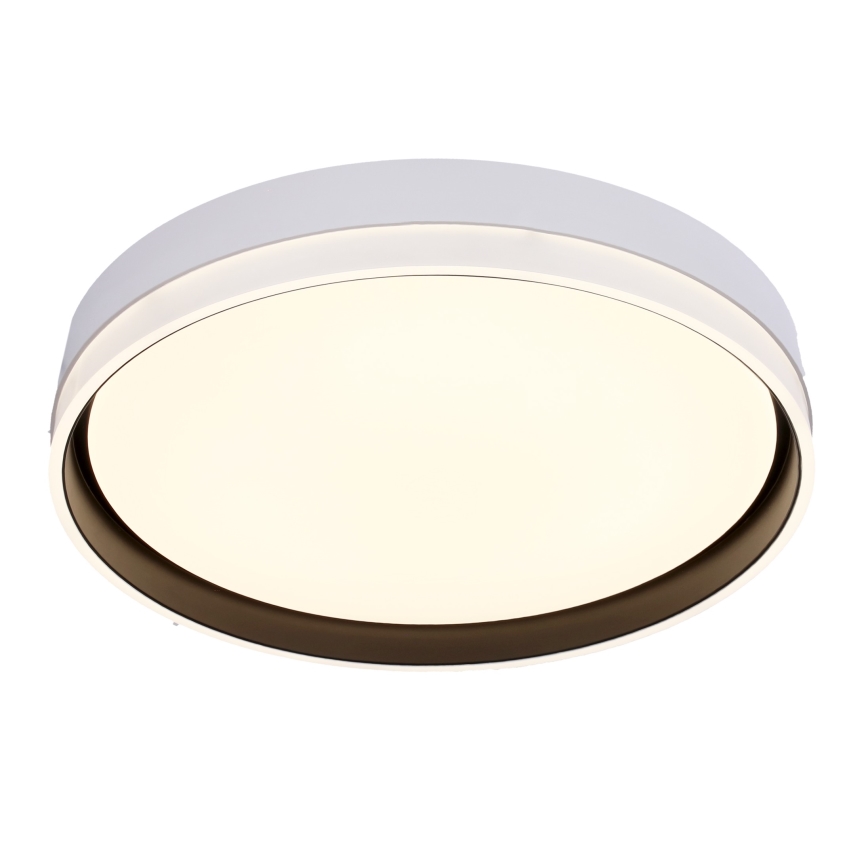 Plafonieră LED FLORIDA LED/24W/230V alb