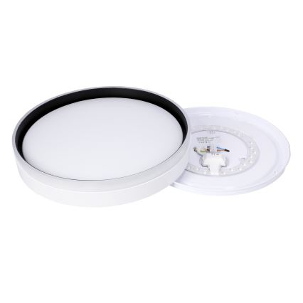 Plafonieră LED FLORIDA LED/24W/230V alb