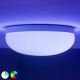 Plafonieră LED Hue FLOURISH LED/32W/230V Philips