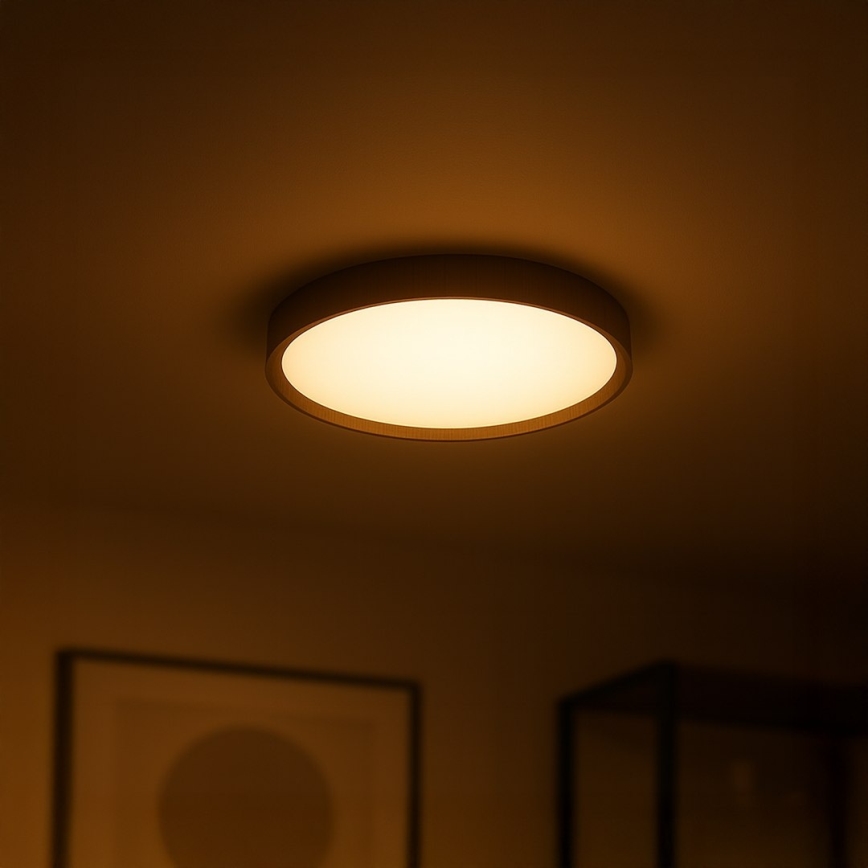 Plafonieră LED FOREST, 24 W, 230 V, Ø 39 cm, maro