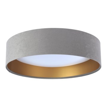 Plafonieră LED GALAXY, 24 W, 230 V, Ø 44 cm, gri/auriu