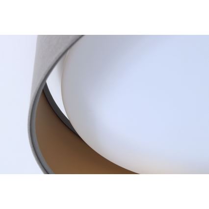 Plafonieră LED GALAXY, 24W/230V, Ø 44 cm, gri/auriu