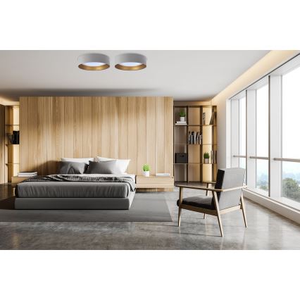 Plafonieră LED GALAXY, 24W/230V, Ø 44 cm, gri/auriu