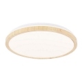 Plafonieră LED GANDAVA LED/24W/230V
