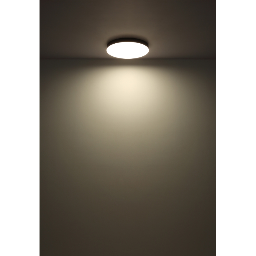 Plafonieră LED Globo LED/36W/230V 3000K/4000K/6500K