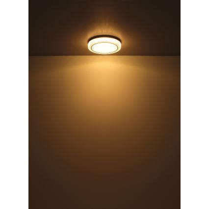 Plafonieră LED Globo LED/24W/230V