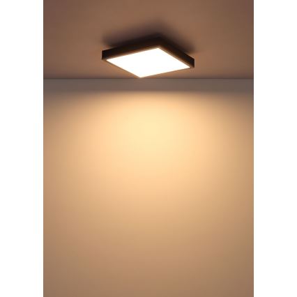 Plafonieră LED Globo LED/12W/230V 3000K 30x30 cm