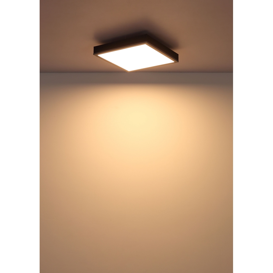 Plafonieră LED Globo LED/12W/230V 3000K 30x30 cm